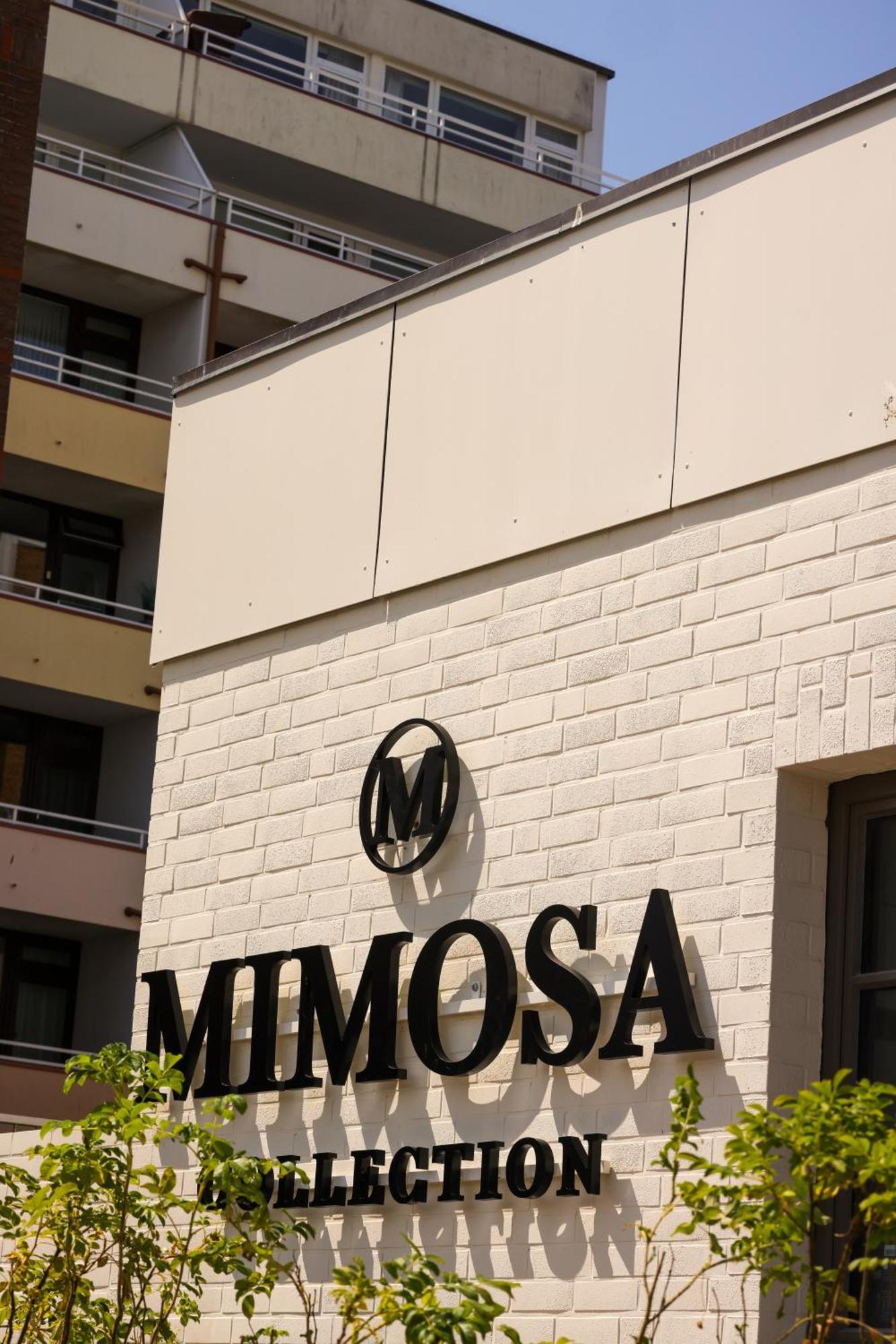 Mimosa 4* Westerland