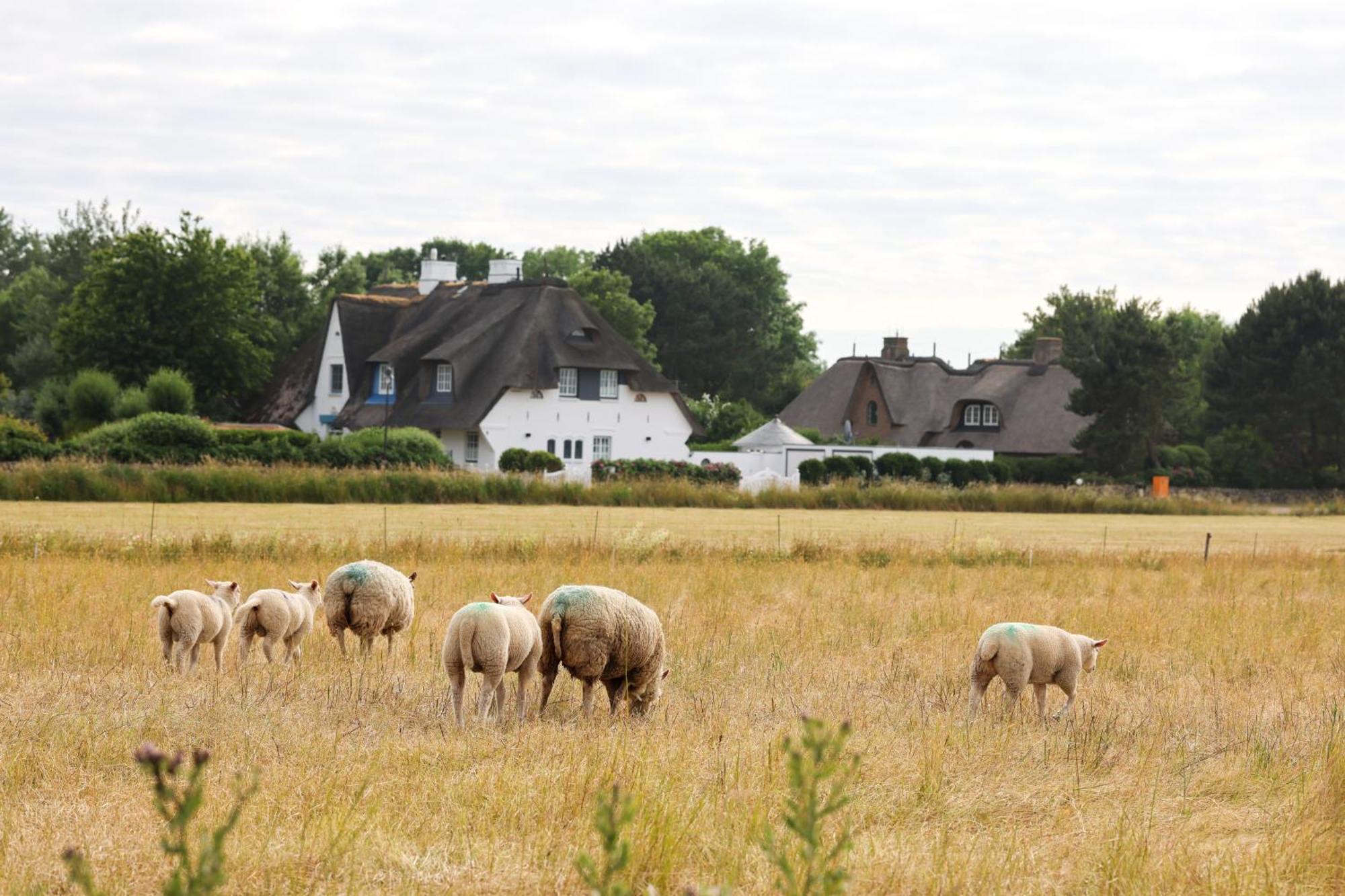Hotel Aubis Sylt 4*