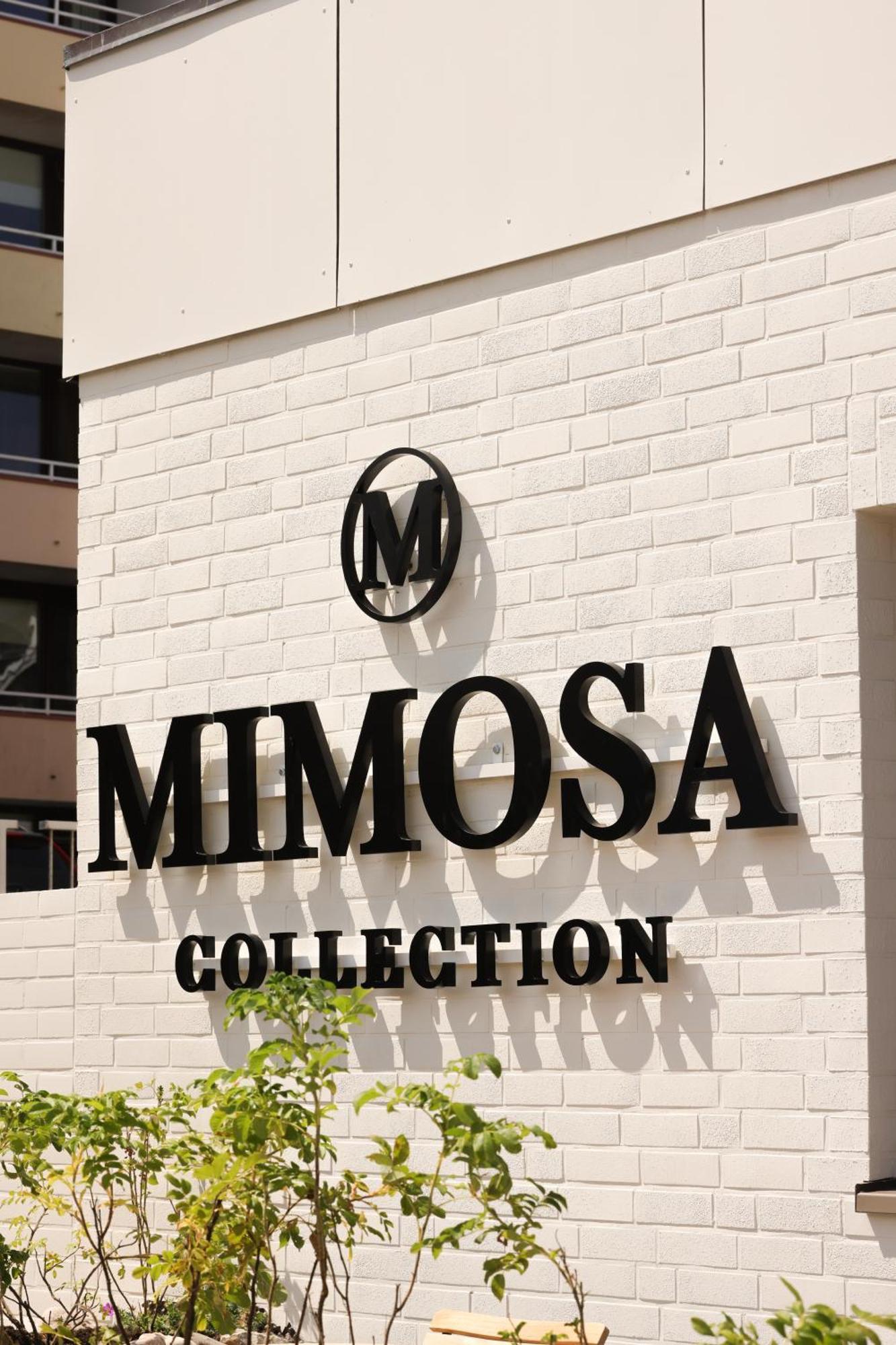 Mimosa 4*